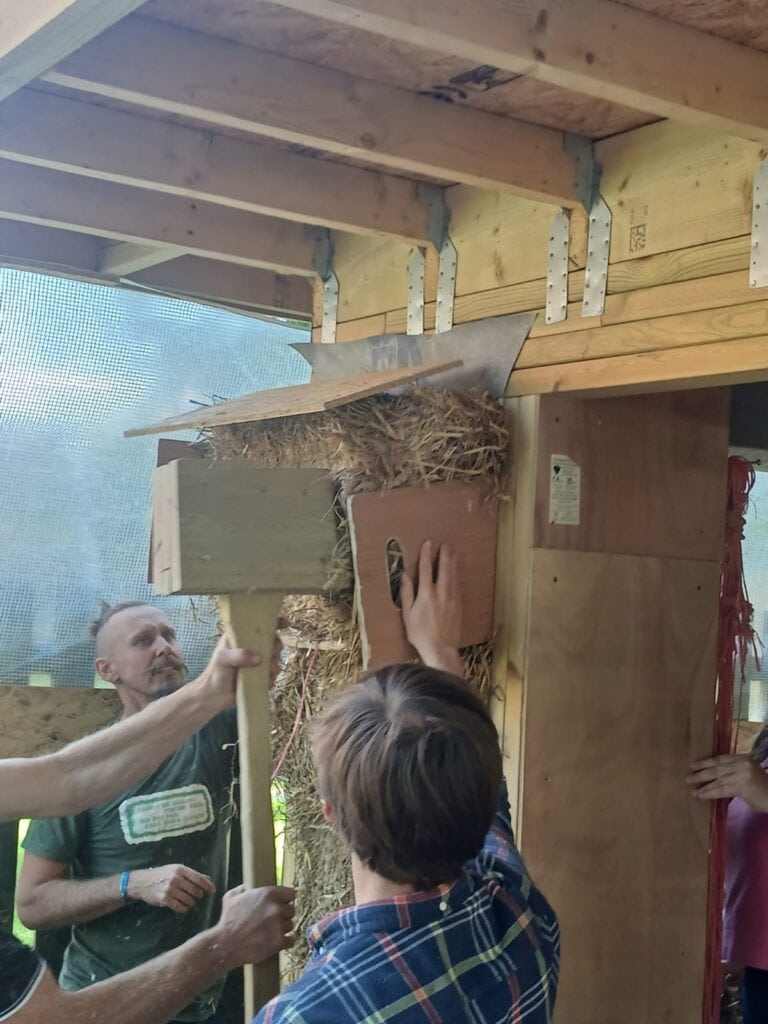 using an over-sized mallet to fit the last straw bale in the panel